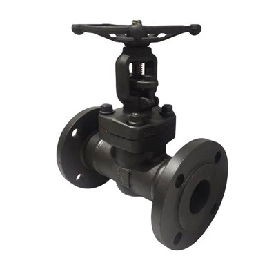 Van cổng thép giả mạo